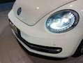 Volkswagen New Beetle New Beetle Cabrio 1.6 tdi Bianco - thumbnail 11