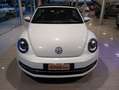 Volkswagen New Beetle New Beetle Cabrio 1.6 tdi Bianco - thumbnail 2