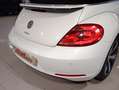 Volkswagen New Beetle New Beetle Cabrio 1.6 tdi Bianco - thumbnail 9