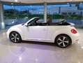 Volkswagen New Beetle New Beetle Cabrio 1.6 tdi Bianco - thumbnail 6