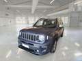 Jeep Renegade 1.3 T4 PHEV 190cv Business Plus 4xe Auto - thumbnail 1