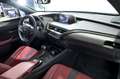Lexus UX 250h F Sport 2WD Gris - thumbnail 9