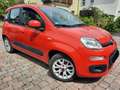 Fiat Panda Panda Serie 2  1.2 Lounge Rot - thumbnail 3