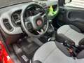 Fiat Panda Panda Serie 2  1.2 Lounge Rot - thumbnail 7