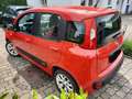 Fiat Panda Panda Serie 2  1.2 Lounge Rot - thumbnail 5