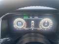 Nissan Qashqai 1.3 DIG-T MHEV 158 PS Xtronic N-Connecta Pano Wint Weiß - thumbnail 15