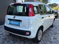 Fiat Panda Panda 1,2 70 Lounge Plus Lounge Plus Weiß - thumbnail 3