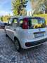 Fiat Panda Panda 1,2 70 Lounge Plus Lounge Plus Weiß - thumbnail 4