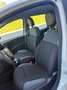 Fiat Panda Panda 1,2 70 Lounge Plus Lounge Plus Weiß - thumbnail 7
