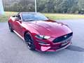 Ford Mustang Convertible 2.3 Eco Boost-Magne Ride Czerwony - thumbnail 3