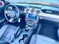 Ford Mustang Convertible 2.3 Eco Boost-Magne Ride Червоний - thumbnail 9