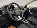 Kia Ceed / cee'd 1,4 TGDI Silber ab ca. 114€ monatlich Blau - thumbnail 17