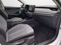 Skoda Octavia Combi 1,5l TSI DSG Selection Biały - thumbnail 13