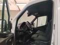 Mercedes-Benz Sprinter 317 CDI KA L2 9G+AHK3,5+Kamera+Tempomat Blanc - thumbnail 11