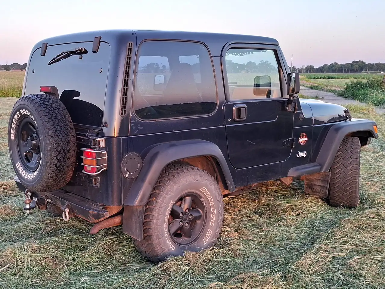 Jeep Wrangler 4.0i Hardtop, foto 4