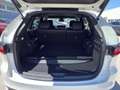 Mazda CX-80 3.3L e-SKYACTIV D AWD Homura Aut. Weiß - thumbnail 12