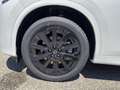 Mazda CX-80 3.3L e-SKYACTIV D AWD Homura Aut. Weiß - thumbnail 7