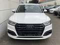 Audi Q5 55 TFSI e quattro sport PHEV S-line ACC Digi Cockp Weiß - thumbnail 6