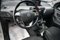 Lancia Ypsilon 1.2 69cv Silver ITALIANA Bianco - thumbnail 6