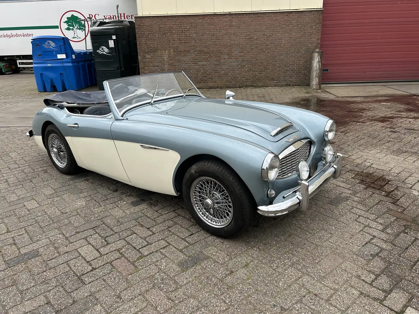 Austin-Healey 3000 Blau - 1
