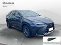 Lexus NX 300 Hybrid Business+ 4WD IVA ESPOSTA KM 13900 Grau - thumbnail 8
