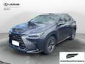 Lexus NX 300 Hybrid Business+ 4WD IVA ESPOSTA KM 13900 Grau - thumbnail 1