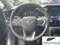 Lexus NX 300 Hybrid Business+ 4WD IVA ESPOSTA KM 13900 Grau - thumbnail 14