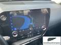 Lexus NX 300 Hybrid Business+ 4WD IVA ESPOSTA KM 13900 Grau - thumbnail 16