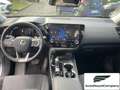 Lexus NX 300 Hybrid Business+ 4WD IVA ESPOSTA KM 13900 Grau - thumbnail 13