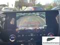 Lexus NX 300 Hybrid Business+ 4WD IVA ESPOSTA KM 13900 Grau - thumbnail 17