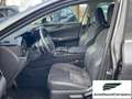 Lexus NX 300 Hybrid Business+ 4WD IVA ESPOSTA KM 13900 Grau - thumbnail 10