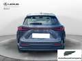 Lexus NX 300 Hybrid Business+ 4WD IVA ESPOSTA KM 13900 Grau - thumbnail 5