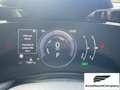 Lexus NX 300 Hybrid Business+ 4WD IVA ESPOSTA KM 13900 Grau - thumbnail 15