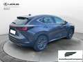 Lexus NX 300 Hybrid Business+ 4WD IVA ESPOSTA KM 13900 Grau - thumbnail 6