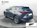 Lexus NX 300 Hybrid Business+ 4WD IVA ESPOSTA KM 13900 Grau - thumbnail 4