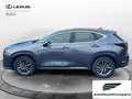Lexus NX 300 Hybrid Business+ 4WD IVA ESPOSTA KM 13900 Grau - thumbnail 3