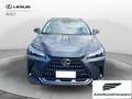 Lexus NX 300 Hybrid Business+ 4WD IVA ESPOSTA KM 13900 Grau - thumbnail 9