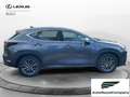 Lexus NX 300 Hybrid Business+ 4WD IVA ESPOSTA KM 13900 Grau - thumbnail 7
