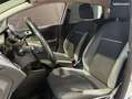 Ford Fiesta 1.5 TDCi 75ch FAP Trend 5p MY2014 Blanc - thumbnail 11