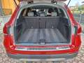 Mercedes-Benz GLC 200 GLC 200 d 4MATIC Aut. Rojo - thumbnail 3