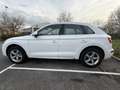 Audi Q5 Q5 2.0 TFSi Quattro S tronic Wit - thumbnail 12