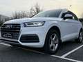 Audi Q5 Q5 2.0 TFSi Quattro S tronic Wit - thumbnail 13