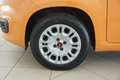 Fiat Panda Panda 1.2 Easy Arancione - thumbnail 14