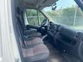 Fiat Ducato Blanc - thumbnail 6