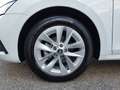 Skoda Octavia Style TDI DSG Blanc - thumbnail 24