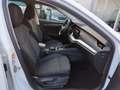 Skoda Octavia Style TDI DSG Blanc - thumbnail 8