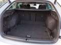 Skoda Octavia Style TDI DSG Blanc - thumbnail 21