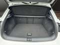 Volkswagen T-Roc R-Line 1.5 TSI DSG SCHIEBEDACH Design-Paket Black Weiß - thumbnail 14