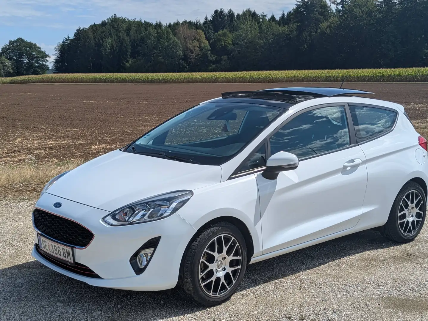 Ford Fiesta Fiesta Trend 1,1 Start/Stop Trend Weiß - 1