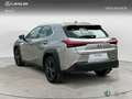Lexus UX 200 SUV BUSINESS NAVIGATION (2WD) 2.0 Híbrido Gasolin Gris - thumbnail 2